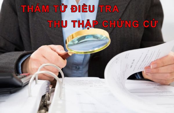 Quy trình làm việc của Tín Phát đảm bảo chuẩn khoa học