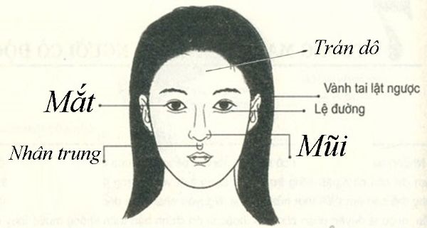 Trán dô vành tai lật ngược - 99 phụ nữ ngoại tình đều có đặc điểm này