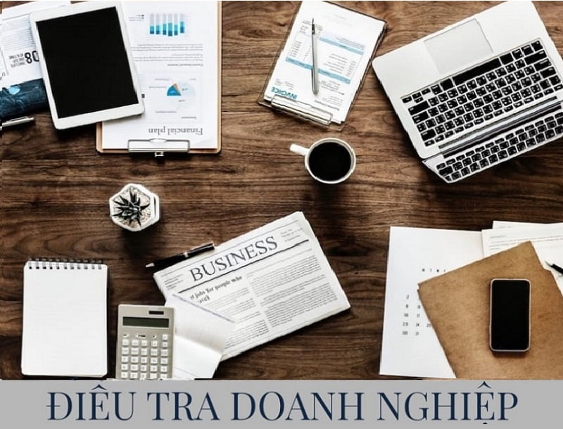Điều Tra Doanh Nghiệp